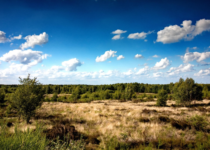 电子眼扣分怎么处理，电子眼违章怎样处理