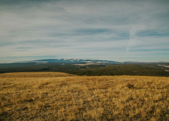 情人节语录浪漫简短，情人节 经典语录