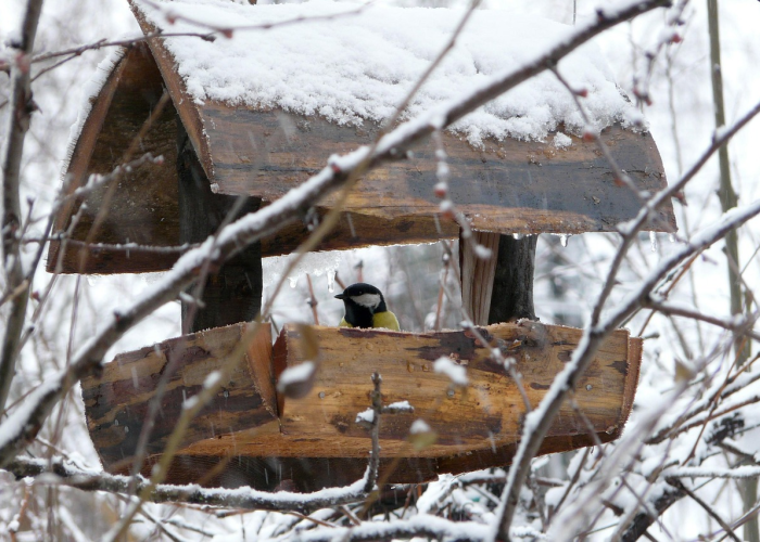 【浮夸歌词,浮夸歌词完整版】