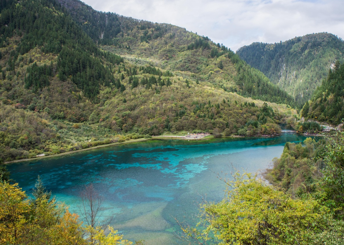 吏组词，速组词