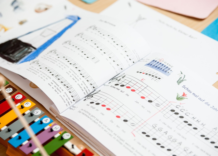 【水稻是什么粮食,水稻是什么粮食作物】