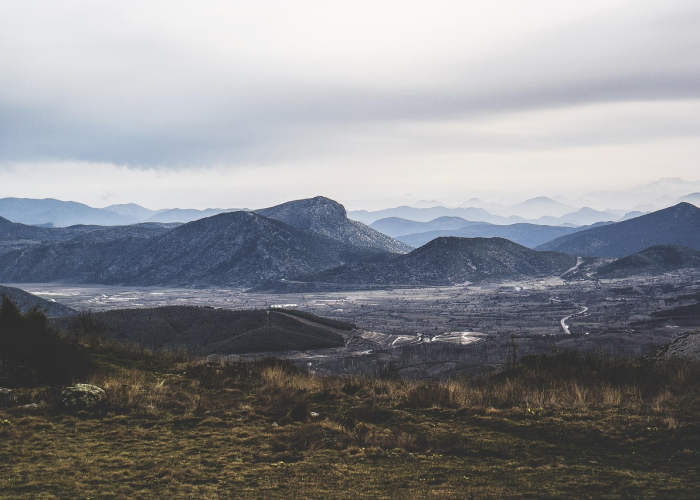 (单薄读音)，单薄读音bao和bo的区别