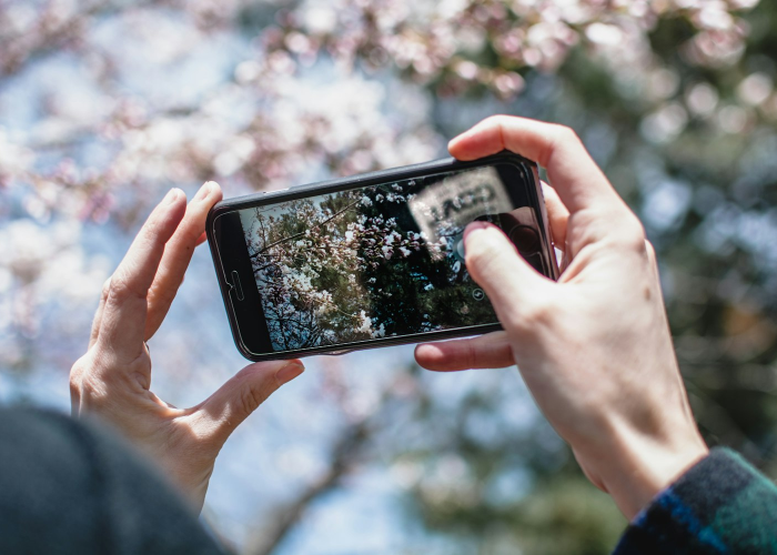 软件下载photoshop，软件下载苹果