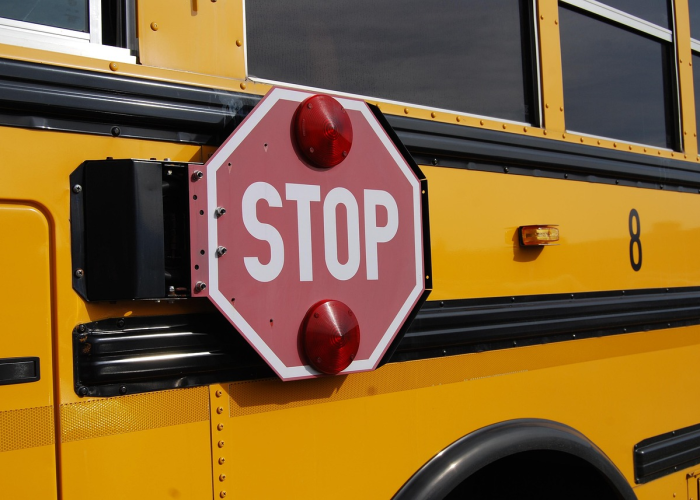 怪鸟图片真实，怪鸟是什么东西