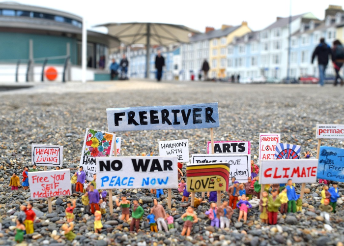 (2015年国际禁毒日主题的简单介绍)，2015年我国禁毒主题