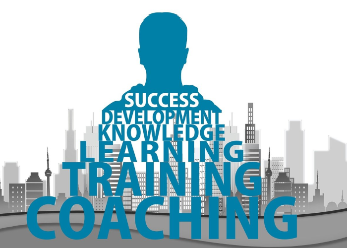 欧达z15，欧达z16