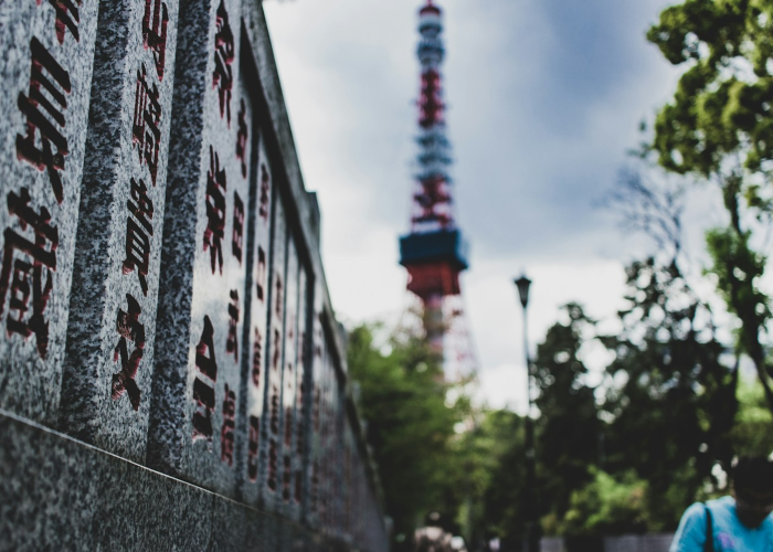 (宣布的近义词是什么)，宣布的近义词