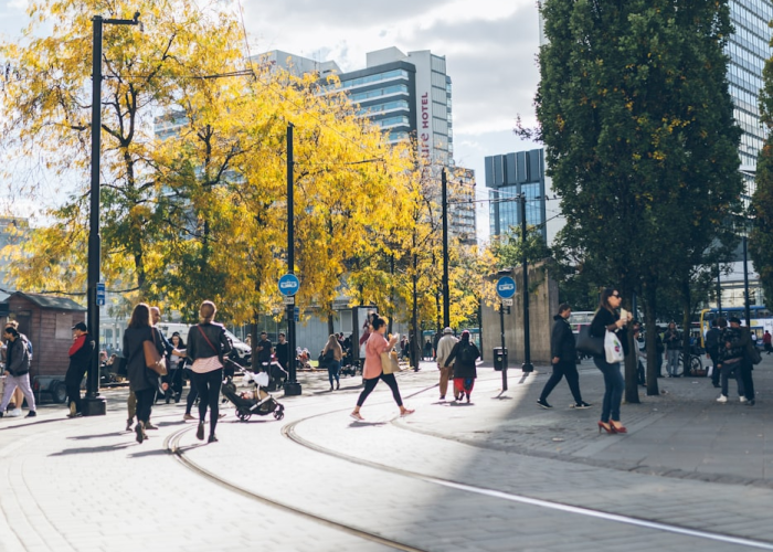 【小红毛,小红帽和大灰狼的故事】