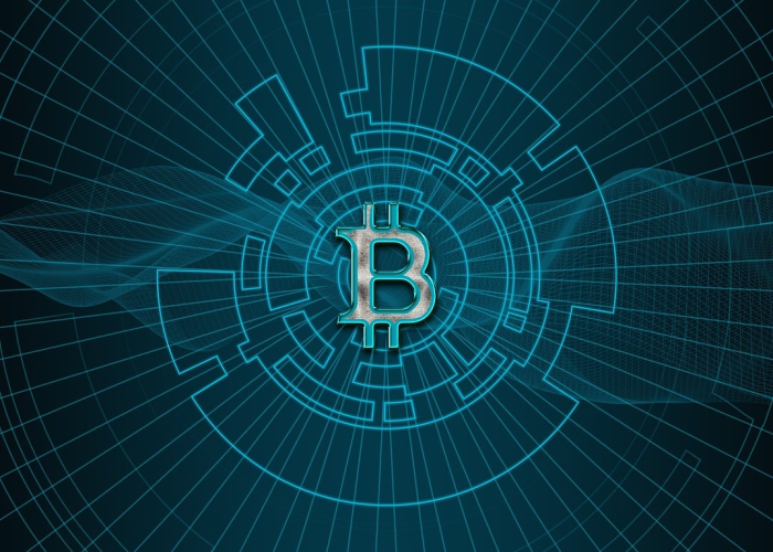 【五谷豆浆有哪些东西,五谷豆浆是哪五种粮食】