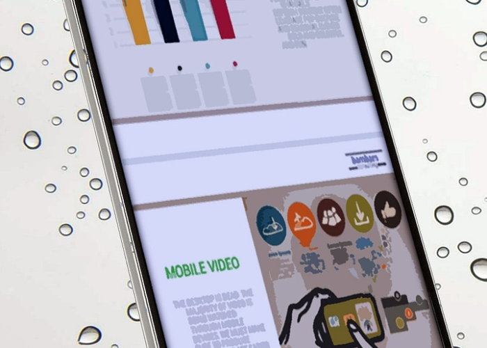 郫县玫瑰园介绍，郫县玫瑰园现在有花吗