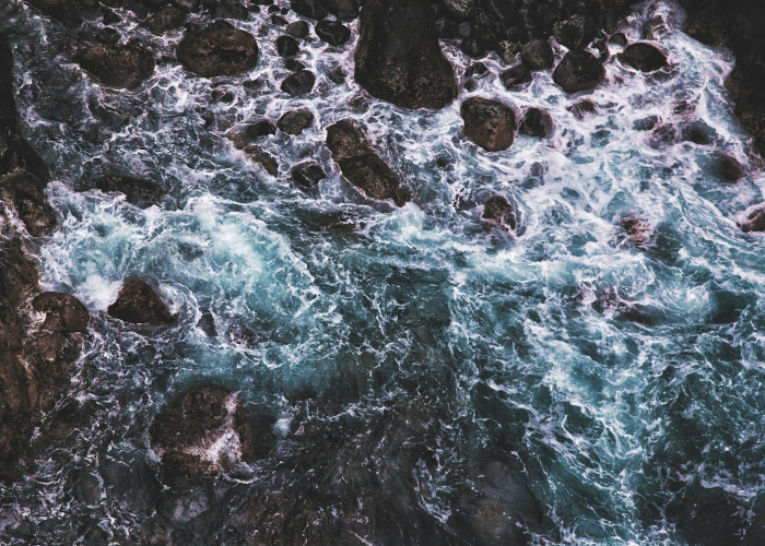 (企业信息服务)，企业信息服务管理体系