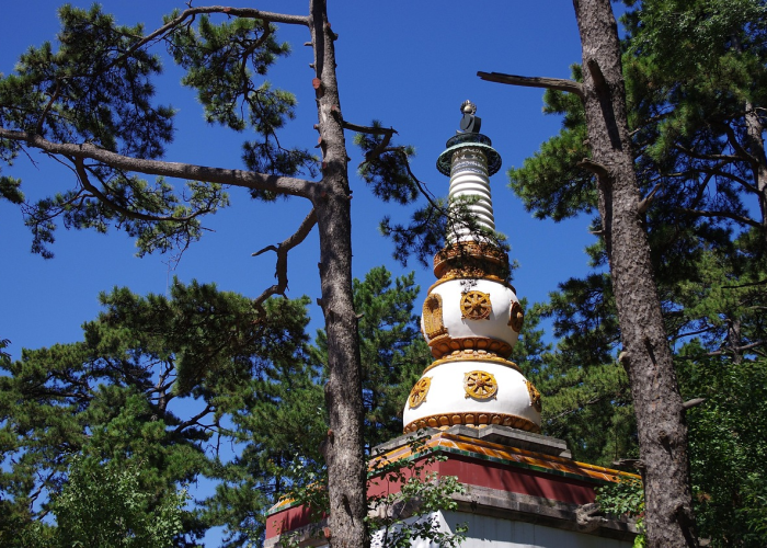 【正确洗手的步骤有,正确洗手的方法】