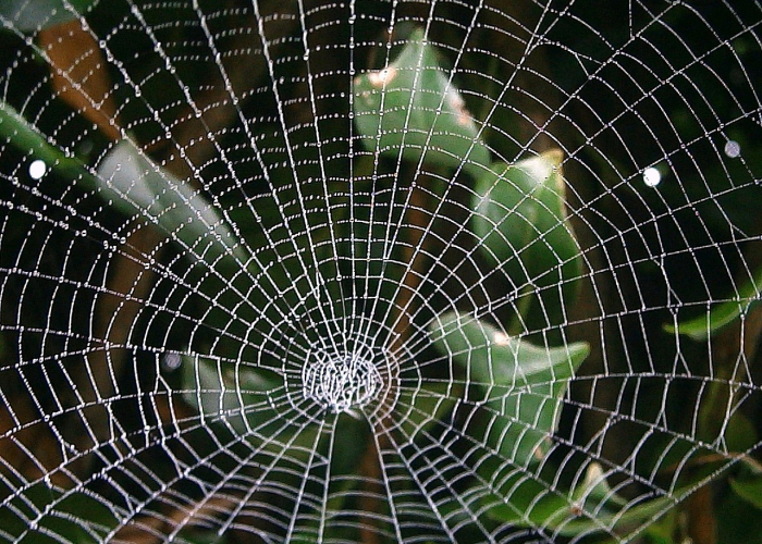 发明米饭的人是谁，米饭谁发现的