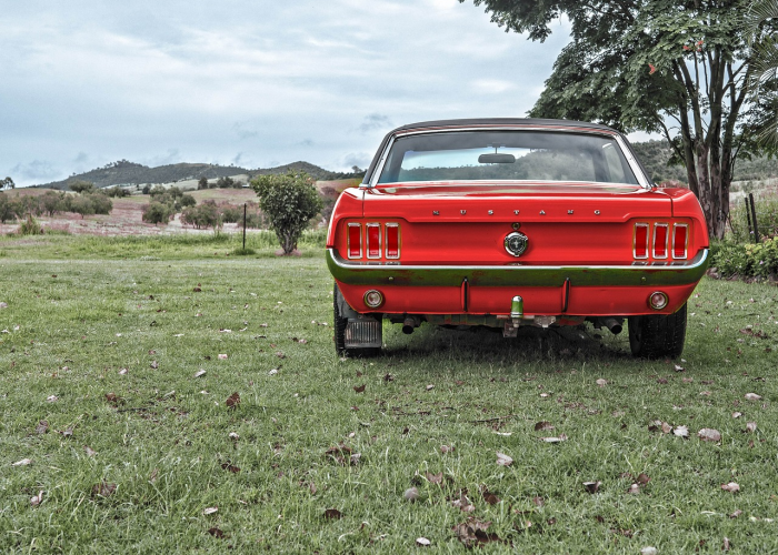 【中秋节日祝福短信,中秋节日祝福的话语,句句暖人心】