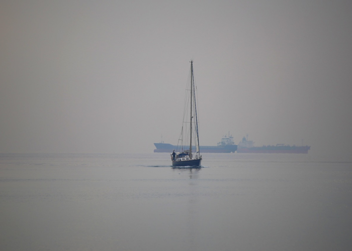 冯远征个人资料简介，梁丹妮个人资料简介