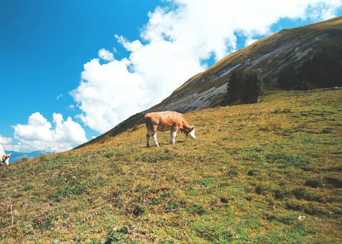 包含美即牛奶面膜好用吗的词条，美即面膜哪几款口碑好