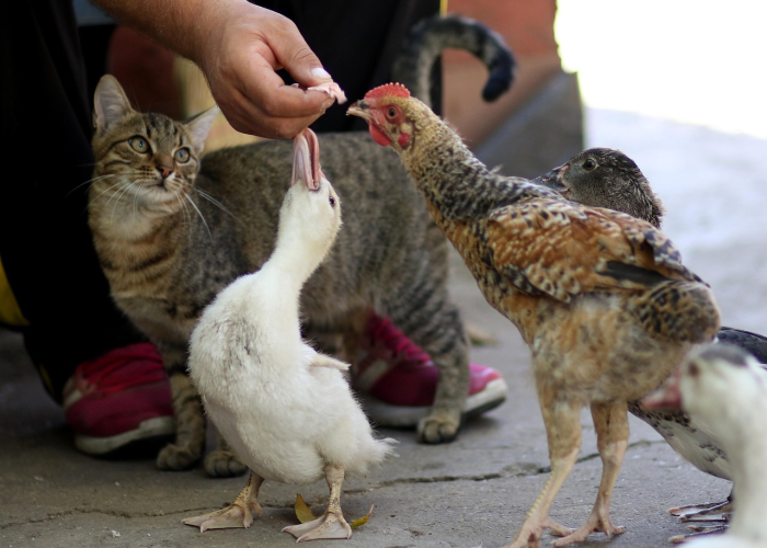【豪爵铃木摩托车官方网站,豪爵铃木摩托车官网摩托车官方网价格】