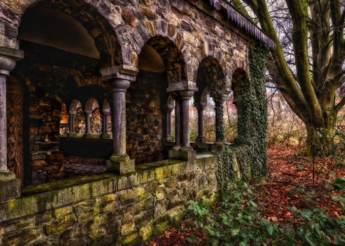 【金莎个人资料简介,金莎的百科介绍】