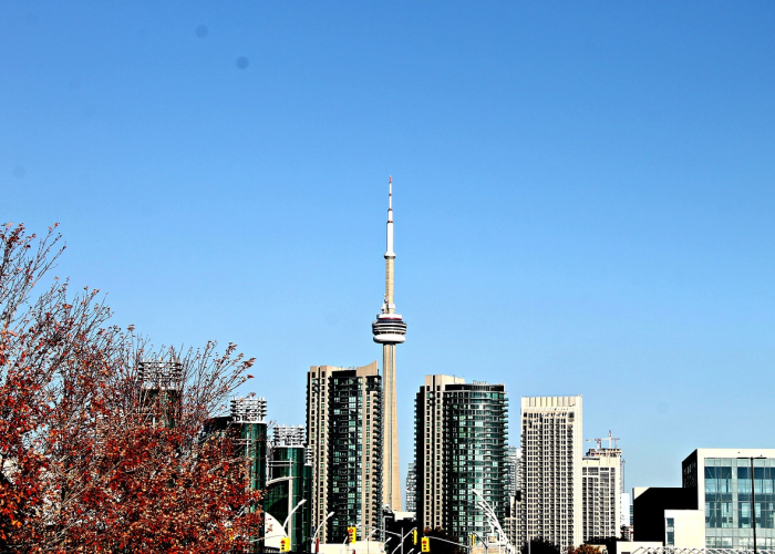 可怜兮兮的意思，可怜兮兮的读音是什么