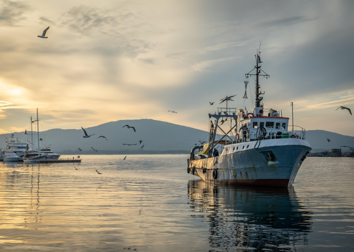 【迎政,迎政女装价格】