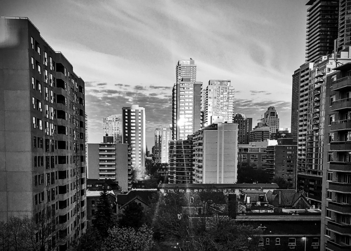 (牛头梗原产于)，牛头梗是哪个国家的品种